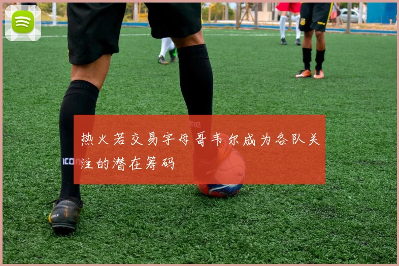 热火若交易字母哥韦尔成为各队关注的潜在筹码